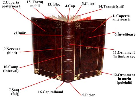Structura Cărții Funciară