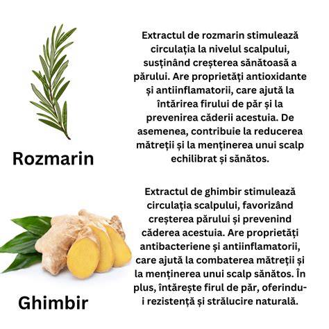 Infografica: Cum actioneaza proteina hidrolizata de grau si aminoacizii asupra firului de par