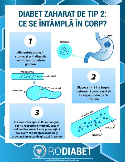 Infografic despre cum se montează tetina și cum se asigură capsul anti-scurgere