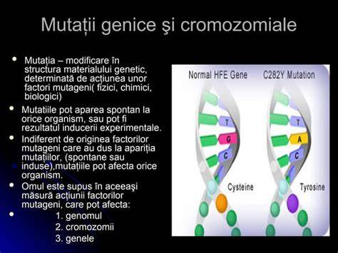 Infografic: relatie dintre mutatii genetice, anomalii craniofaciale si afectari functionale