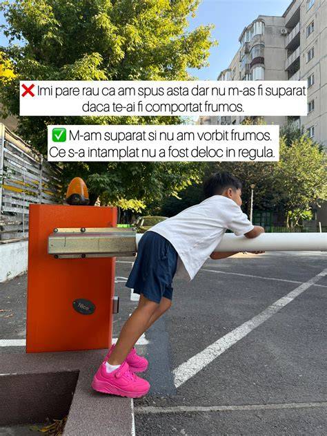 Ilustratie cu dinamica relatiei intre frateli si bebelus
