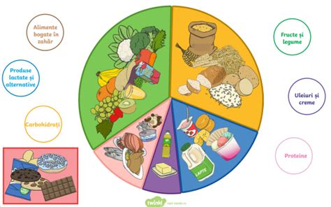 Infografic cu grupele de alimente recomandate pe etape de vârstă