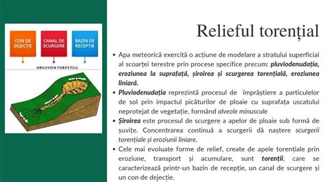 Forme de prezentare Ganoderma