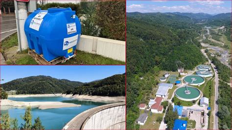 Avertisment pentru consum Ganoderma