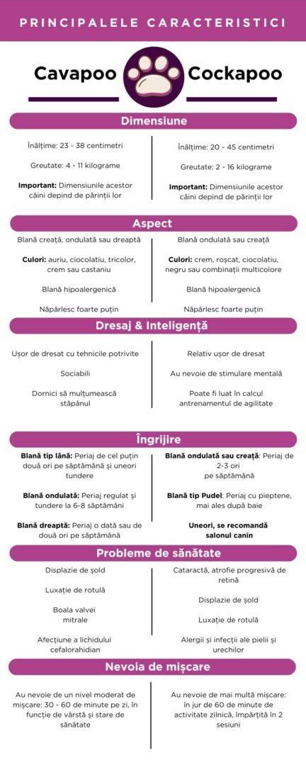 Infografic cu principalele caracteristici ale pompei mamar purtabile: moduri de pompare, capacitate, niveluri de intensitate, autonomie baterie