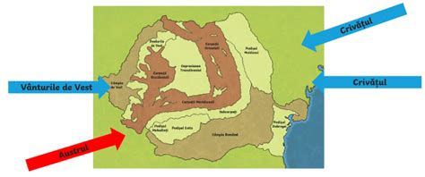 Schema tipurilor de rigole
