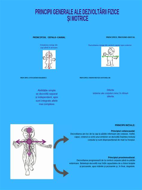 Diagramă a etapelor dezvoltării motorii ale bebelușului