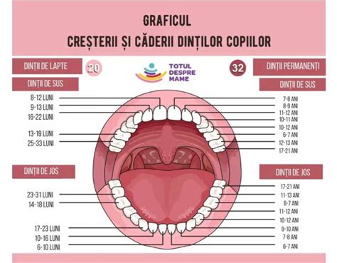 Inline: Cum să ameliorezi disconfortul erupției dentare
