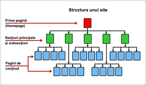 Structura unui forum online