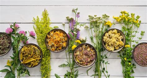 Plante medicinale folosite in compozitia FluEnd Lămâie