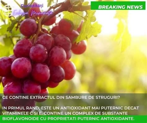 Schema de acțiune a antioxidanților asupra radicalilor liberi