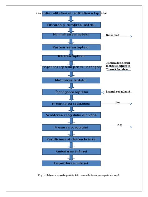 Schema proceselor de diagnostic pentru BRGE la sugar