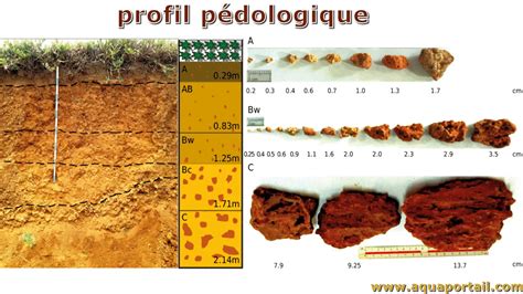 Profil de sol cernoziomtipic