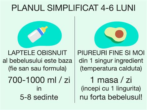 Diagrama regim alimentar recomandat pentru bebelusi 8-9 luni