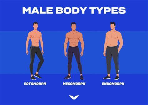 Infographic: tipuri de corp masculin si preferintele femeilor