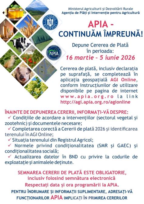 Schema perioperatorie cezariană: pașii intervenției