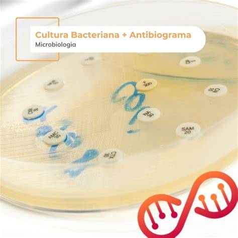 laborator-cultura-bacteriana