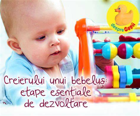 Infografic: etape dezvoltare comunicare bebelus