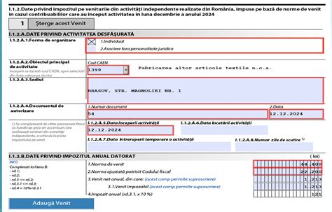 Exemplu de completare a fișei gravidei