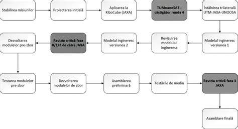 Carte/ diagramă - Etapele dezvoltării cerebrale relevante pentru somn
