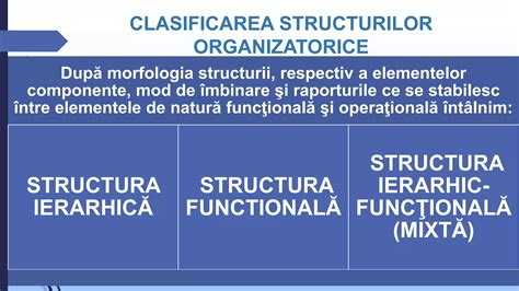 Structura ierarhică a unei companii cu rolul directorului adjunct