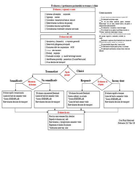 Diagrama flux pentru evaluarea victimei și inițierea RCR
