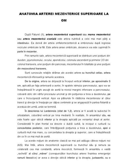 Infografic: Traseul arterei mezenterice superioare și ramurile principale