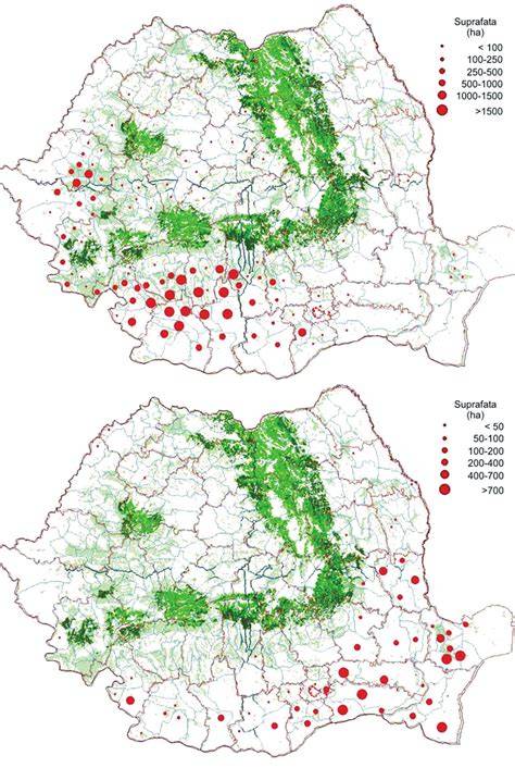 Harta interactivă: distribuția sarcinilor gemelare în regiuni