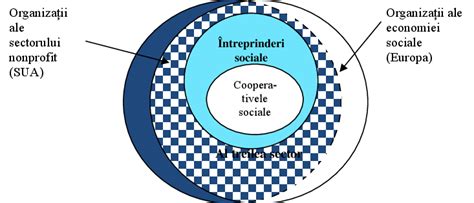 Diagramă: relațiile dintre măsuri, plasament și reprezentant legal
