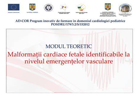 Diagrame de frecvențe cardiace fetale, variante de decelerare și accelerare