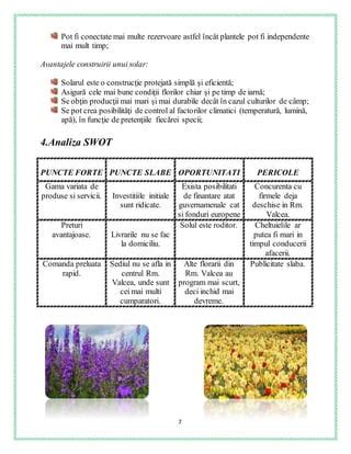 Infografic: Avantajele florilor pastelate pentru nou-născuți