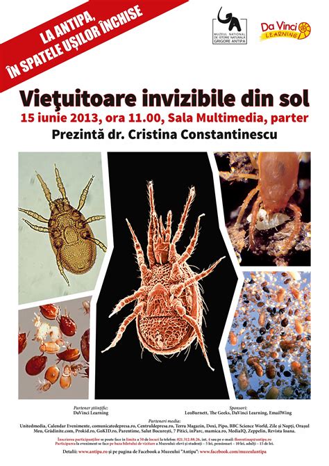 Diversitatea microorganismelor din sol