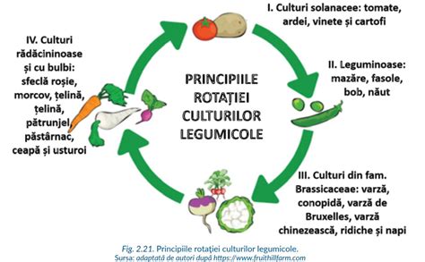 Schema de rotație a culturilor