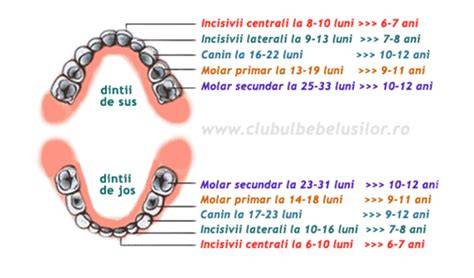 Imagini cu evoluția erupției dentare la bebeluși