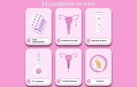 Infografic: etape FIV si inseminare