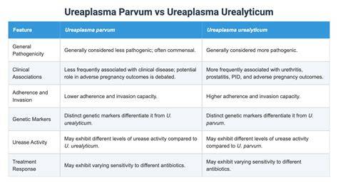 Infografic privind transmiterea ureaplasmei, specie Ureaplasma parvum vs Ureaplasma urealyticum