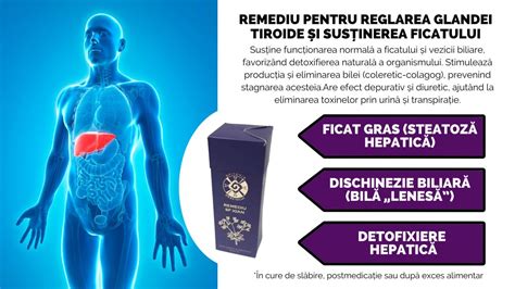 Infografic despre funcționarea ficatului și procesul de transplant