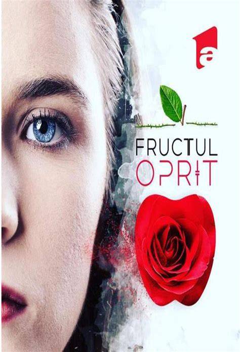 Diagramă relații dintre personajele principale din Fructul Oprit