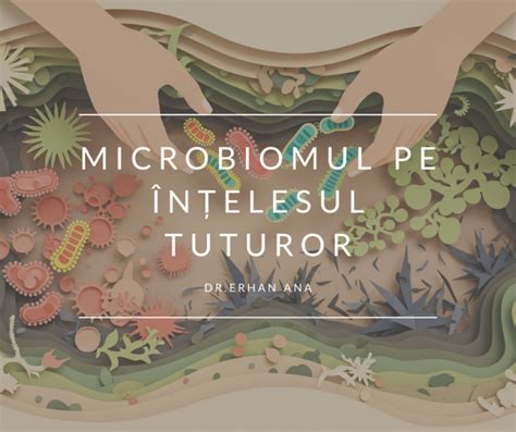 Diagramă: Microbiom intestinal și efectele sale asupra pielii