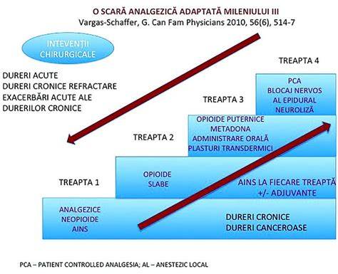 Schema decizională pentru analgezice în sarcină