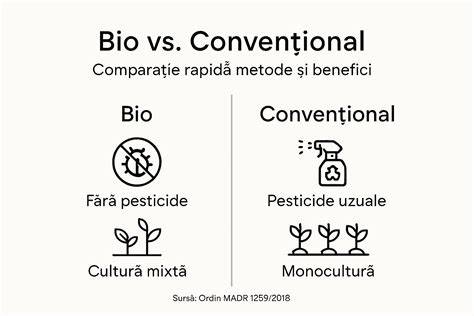 Infografic: Diferențe dintre bio, eco, organic și natural
