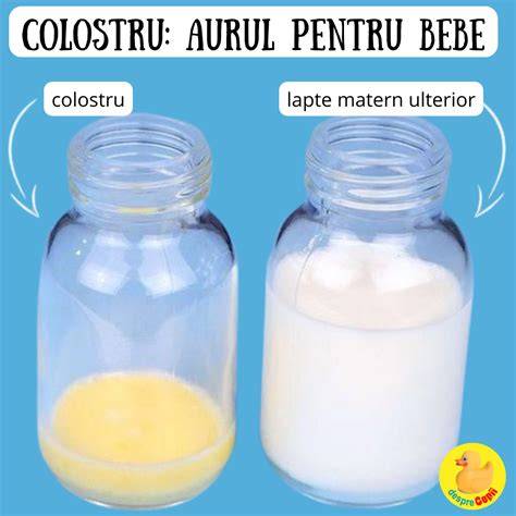 Infografic: etapele lactației (colostru, lapte matur, necesarul zilnic)
