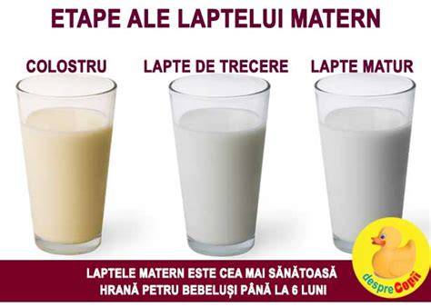 Infographic: Compoziția laptelui matern (proportii nutrienti, etape colostru-tranziție-matur