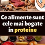 O varietate de alimente bogate în proteine