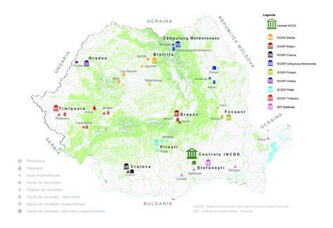 Structură organizațională DGASPC Brăila