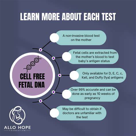 Infografic: Principiul ADN-ului fetal liber circulant (cffDNA) în sângele matern