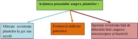 Comparație între îngrășămintele organice și chimice