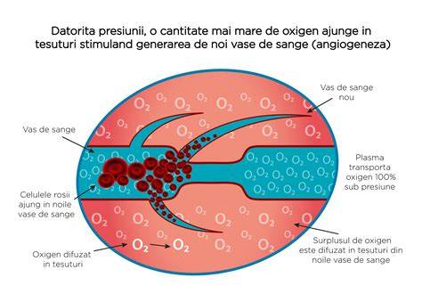 Grafice despre efectele oxigenoterapiei asupra saturatiei si presiunilor sangvine