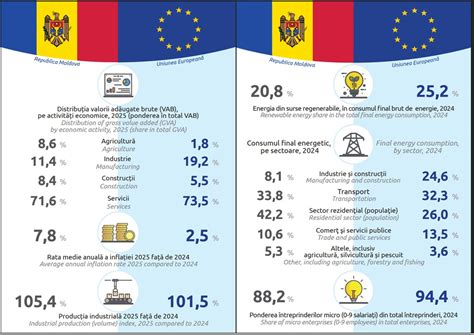 Infografic: Etapele adopției în Moldova