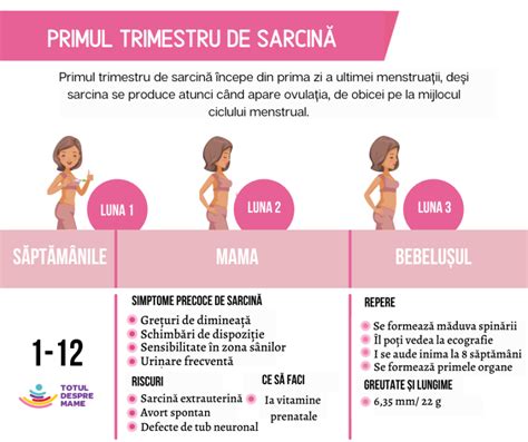 Diagrama evoluției înălțimii fundului uterin pe săptămânile de sarcină